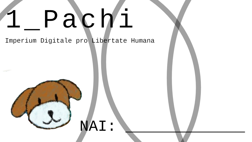 Anatomia de un Pachi
